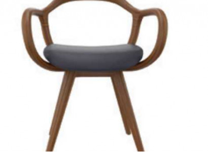 Stühle Wohnzimmer Esszimmer Lehnstuhl Holzstuhl mit Armlehne Esszimmer Möbel